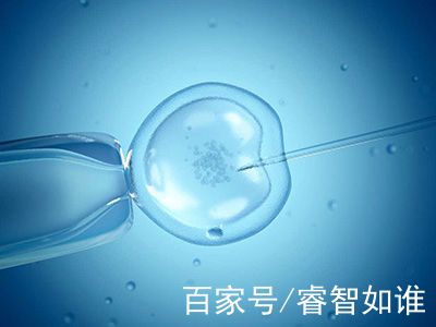 中心环境